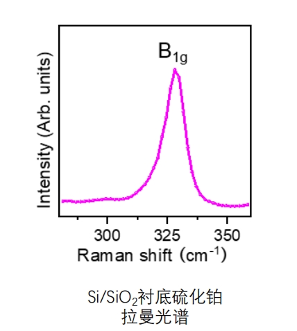 硫化铂PtS材料