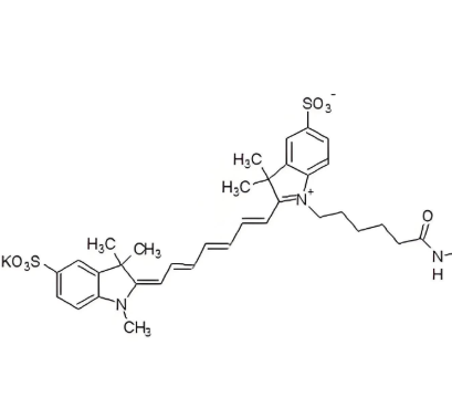 Sulfo-Cy7 NHS ester 水溶性菁染料CY7活性酯的科研应用