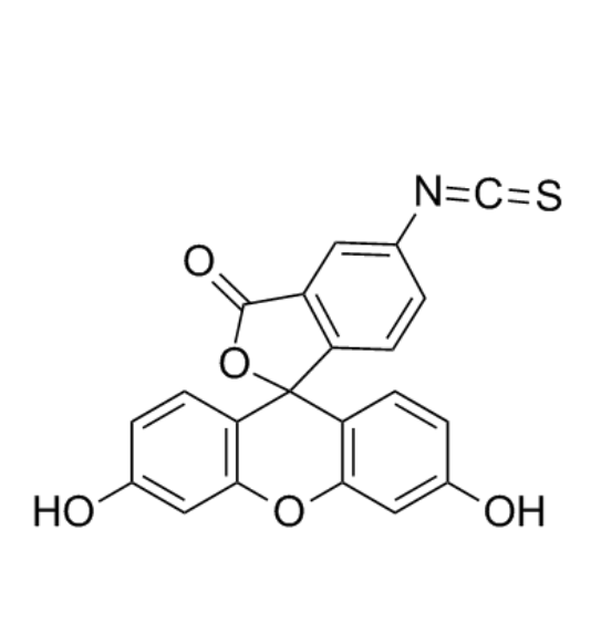 5'-TTAGGGCATGCACTAC-荧光素异硫氰酸酯-3的产品购买闭坑指南