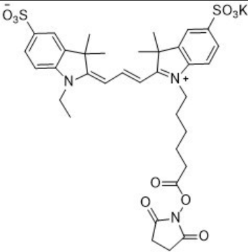磺酸基-CY3琥珀酰亚胺酯的产品保存指南