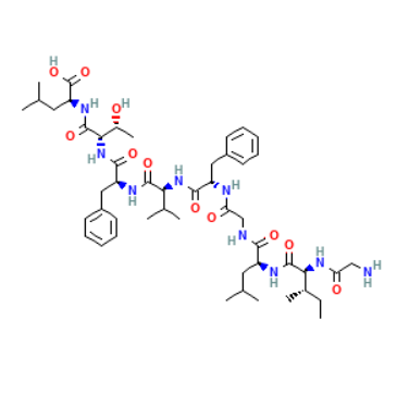 M1 peptide（序列：GILGFVFTL）的结构特点  