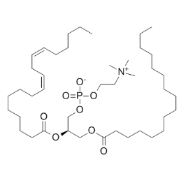 L-α-磷脂酰胆碱 PC的生理功能  