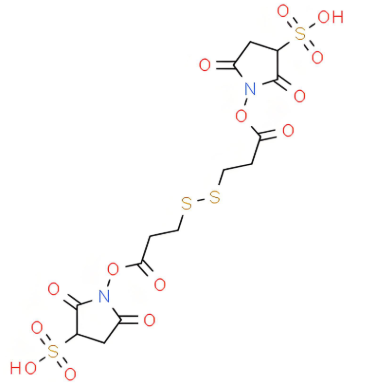 双(磺酸琥珀酰亚氨基)3,3-二硫代丙酸酯的作用机制