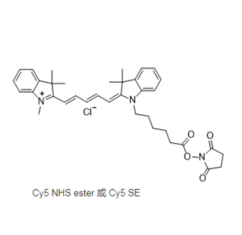 Cyanine 5-N-hydroxysuccinimide ester 五甲川花菁染料标记活性脂 Cy5-SE