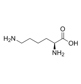 LNP-lysine 脂质-赖氨酸的赖氨酸修饰的作用机制  