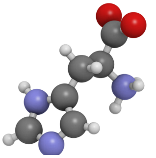 Hyaluronic acid labeled with histidine 组氨酸修饰的透明质酸的产品保存指南