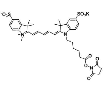 Water-soluble Cy5 amine 磺化Cy5氨基的物理性质和应用