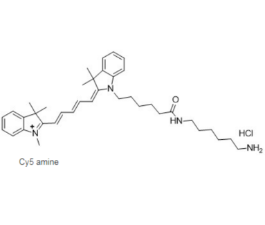 CY5-NH2 花菁染料CY5标记氨基的制备方法