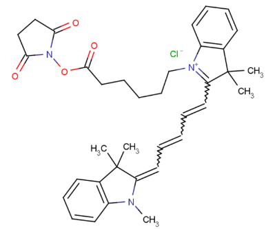 Cy5-NHS ester Cyanine5-琥珀酰亚胺酯的产品保存指南