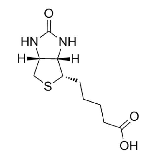 Biotin结构式
