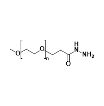 mPEG-Hydrazide 甲氧基聚乙二醇-肼的稳定性及反应活性 