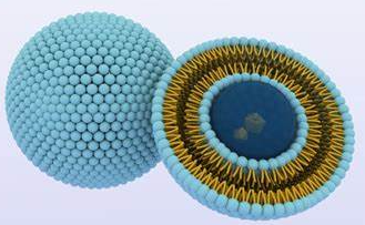 RNA-Encapsulated Lipid Nanoparticles with a Particle Size of 80 nm的结构式分析