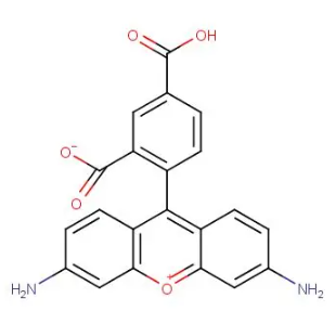 CR110-DBCO 罗丹明110羧基-二苯并环辛炔的产品使用指南