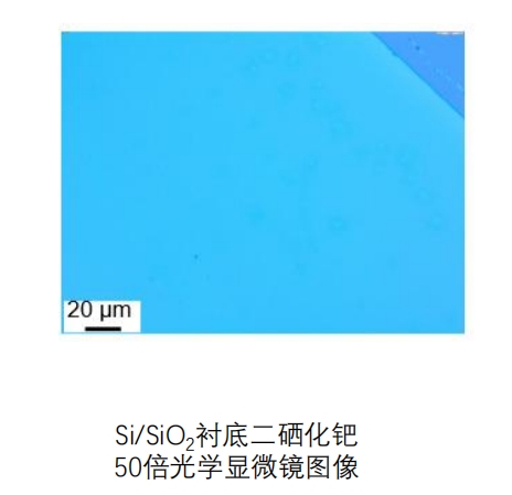 二硒化钯PdSe₂