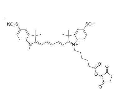 Sulfo-Cy5 NHS Ester 磺化Cy5琥珀酰亚胺的科研应用