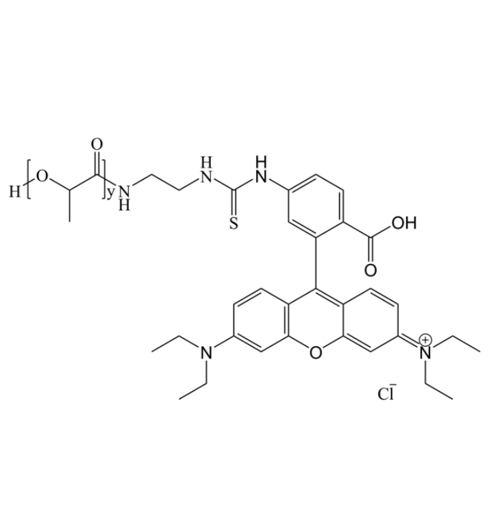 聚乳酸-罗丹明B纳米探针在细胞成像中的荧光稳定性与亚细胞定位研究