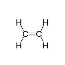AF-alkene  Alexa Fluor标记烯烃的结构式