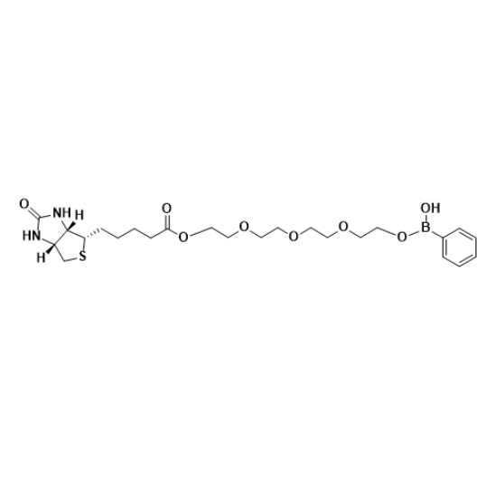 基于 Biotin-PEG4-PBA 的糖类分子靶向递送系统