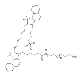 Indocyanine Green-Polyethylene Glycol2k-Amine的生物分子连接机制