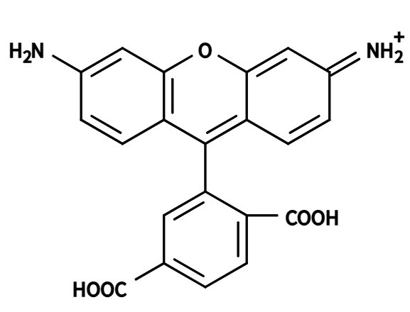 Dibenzocyclooctyne-Carboxyrhodamine110的产品保存指南