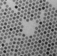 NaLuF:Tb,铽掺杂氟化镥钠油溶性纳米粒子