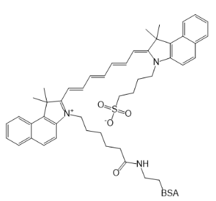 Bovine Serum Albumin-Indocyanine Green的系列产品