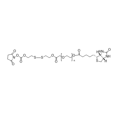 NHS-SS-PEG-biotin,活性酯-聚乙二醇-双硫键-生物素