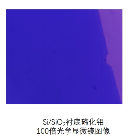 二维碲化钼