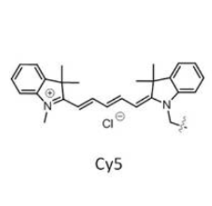 Cy5结构式