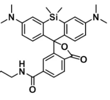 羧基化硅基罗丹明荧光探针 硅基罗丹明-小分子聚乙二醇-羧基的产品使用指南