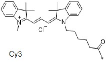 三甲川花菁染料标记栀子苷的产品使用指南