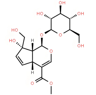 FITC-Geniposide 荧光-栀子甙