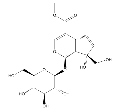 FITC-京尼平苷 栀子苷-异硫氰酸荧光素