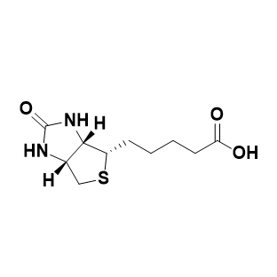 OVA-BIOTIN,卵清蛋白-生物素偶联物