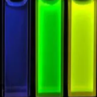 羧基化碳量子点（发射波长约610nm）的作用原理