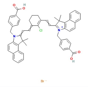 IR825 NHS ester的化学结构与活性原理  