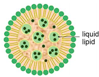 ROS-Responsive Liposome-Doxorubicin (DOX)的物理性质和应用