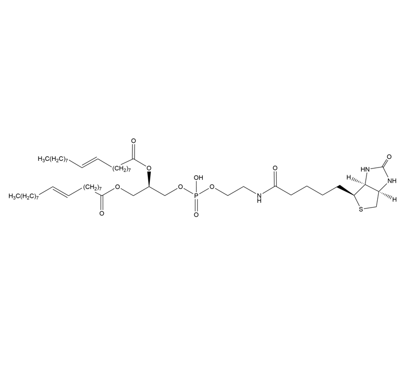 Biotin-cap-DOPE  生物素帽修饰的二油酰磷脂酰乙醇胺的性能优势