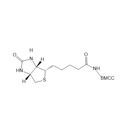 1-生物素酰氨基-4-[4`-(甲基马来酰胺)环己烷甲酰胺]丁烷的产品科普