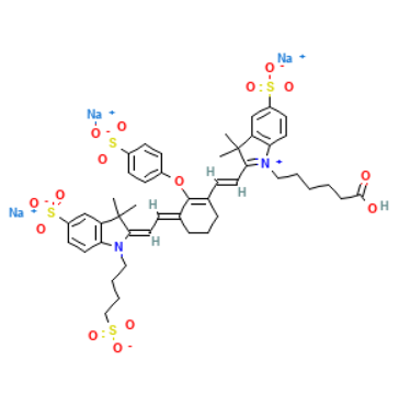 近红外荧光染料IRDye 800CW的核心优势  