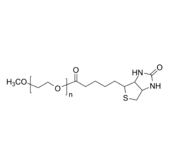 基于甲氧基聚乙二醇-生物素的生物传感器构建与性能测试