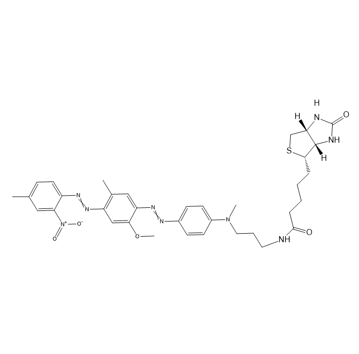 biotin-BHQ1  生物素-黑洞猝灭剂1缀合物的产品衍生