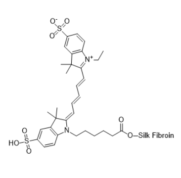 不同环境下 CY5-SF 的光物理性质研究