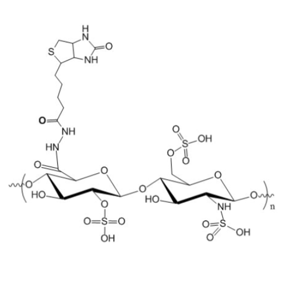 生物素修饰肝素  Biotin-Heparin的产品综述