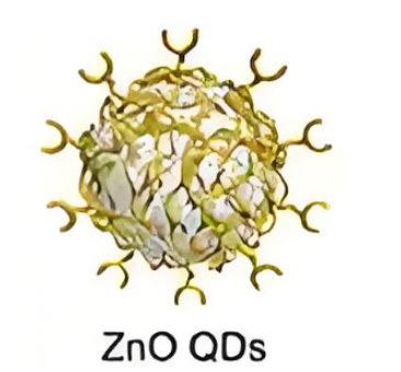 ZnO量子点