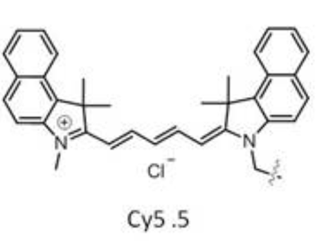 Cyanine5.5标记色氨酸 CY5.5-L-Tryptophan