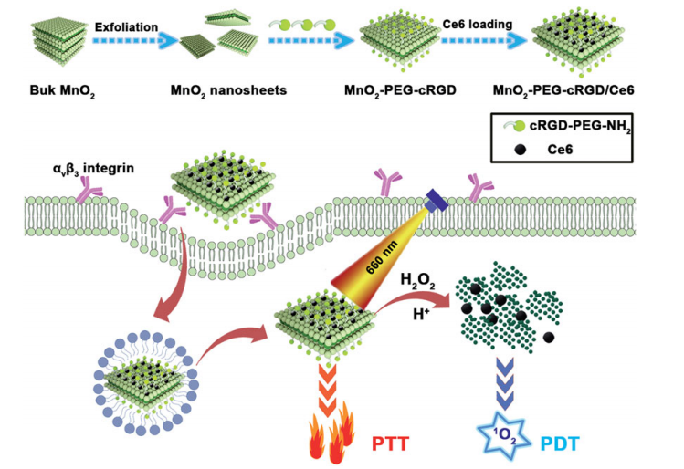 MnO2-PEG-cRGD/Ce6复合材料作为生物可降解纳米平台的制备示意图