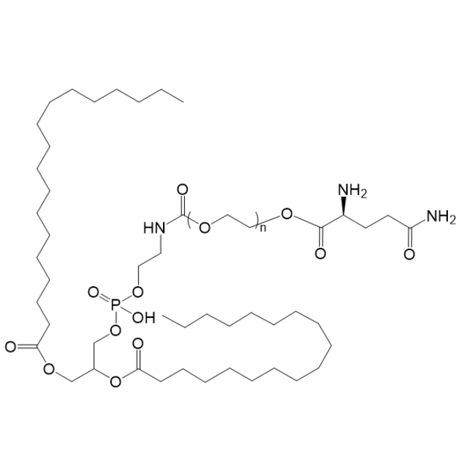 DSPE-PEG-Gln 的分子动力学模拟：两亲性嵌段共聚物在溶液中的构象转变