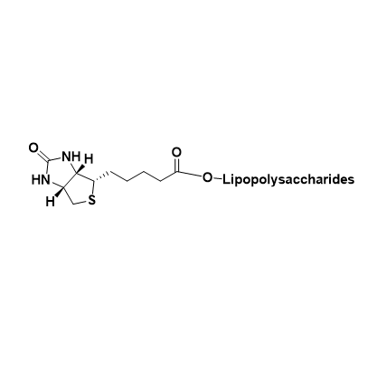 biotin-LPS结构式
