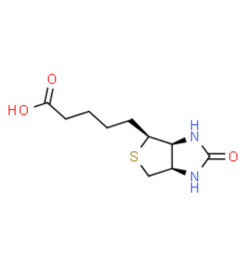 生物素结构式